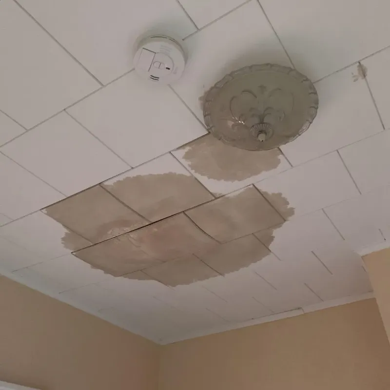 Ceiling Water Damage Repair in Fort Wadsworth, NY